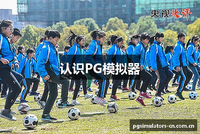 认识PG模拟器